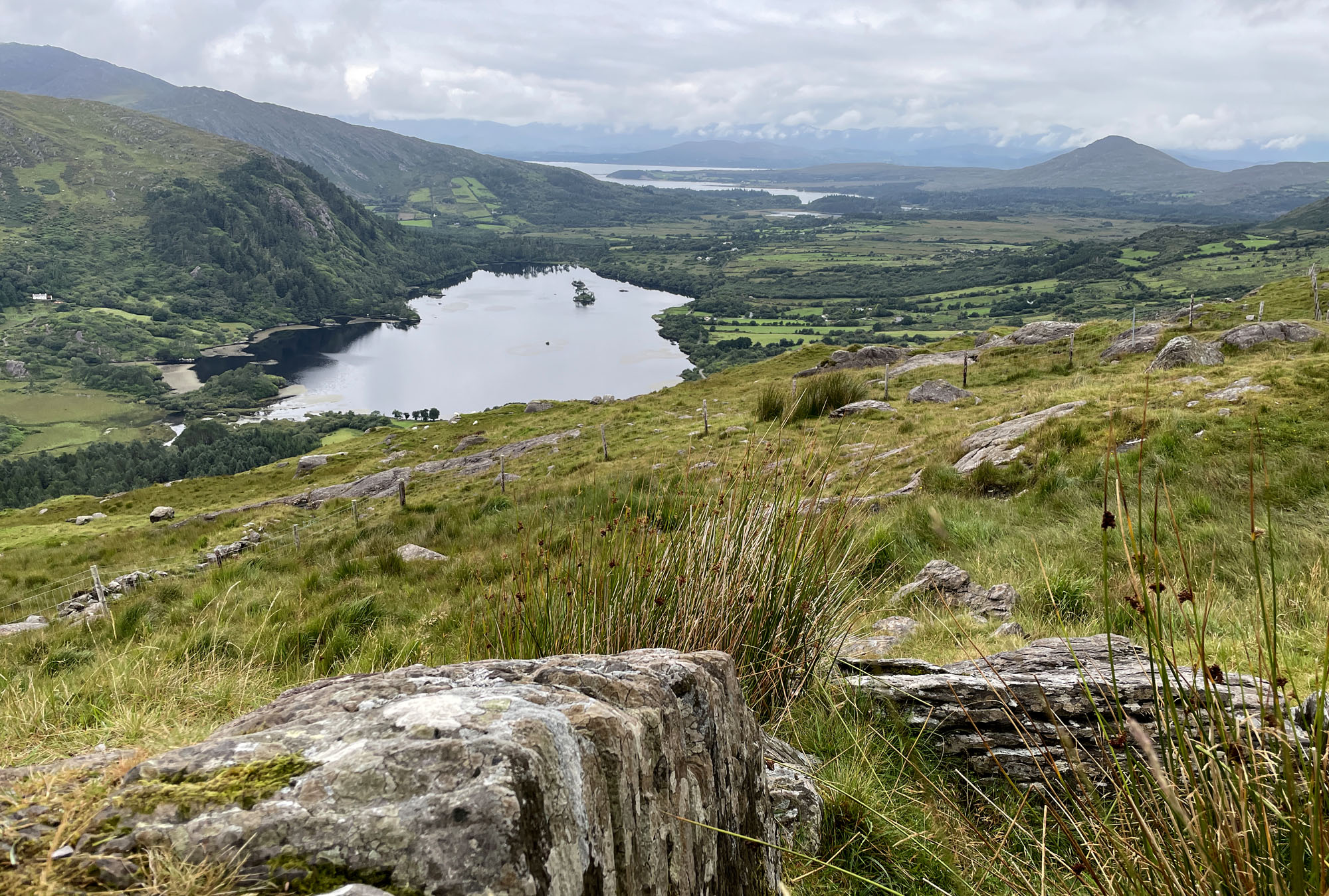 WRT - Ireland Aug 2025 - 25.jpg